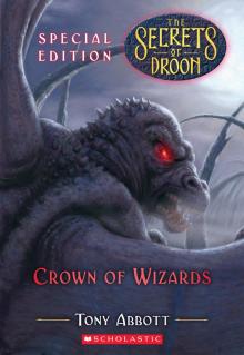      Crown of Wizards