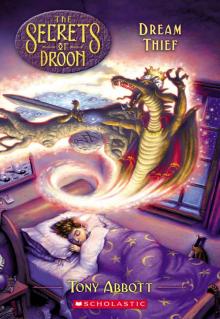      Dream Thief (The Secrets of Droon #17)