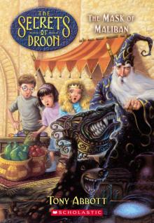      The Mask of Maliban (The Secrets of Droon #13)