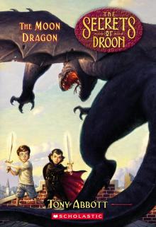      The Moon Dragon