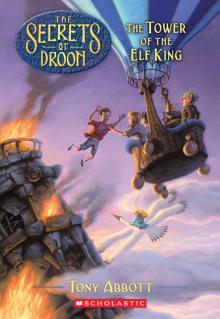      The Tower of the Elf King