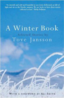      A Winter Book