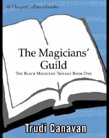      The Magicians' Guild