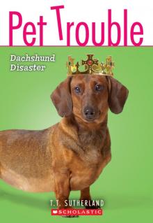      Dachshund Disaster