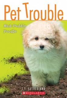      Mud-Puddle Poodle