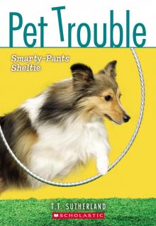      Smarty-Pants Sheltie