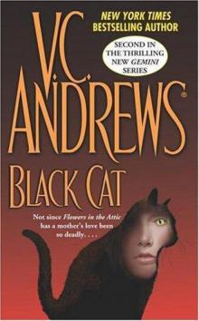      Black Cat