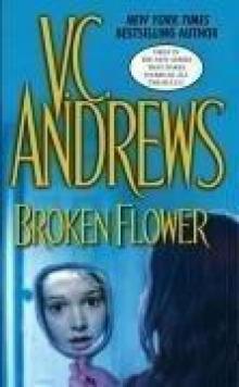      Broken Flower