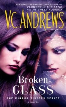      Broken Glass