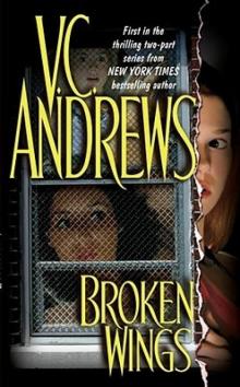      Broken Wings