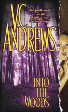      Into the Woods