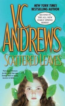      Scattered Leaves