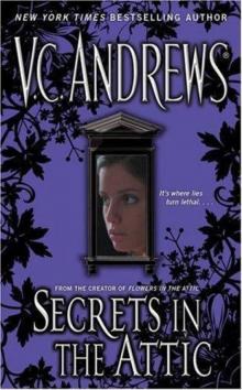      Secrets in the Attic