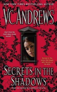      Secrets in the Shadows