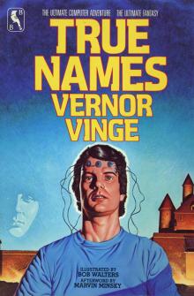      True Names: And the Opening of the Cyberspace Frontier