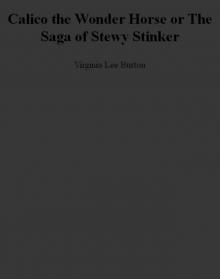      Calico the Wonder Horse, or the Saga of Stewy Stinker