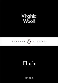      Flush