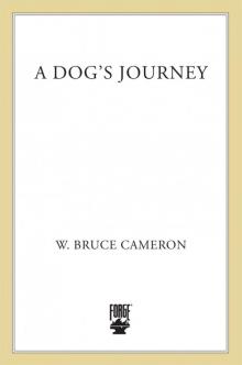      A Dog's Journey