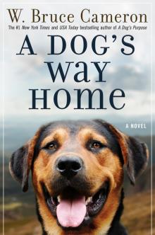      A Dog's Way Home