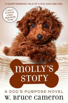      Molly's Story