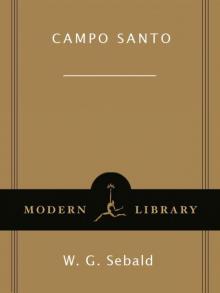      Campo Santo