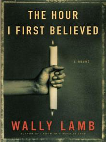      The Hour I First Believed