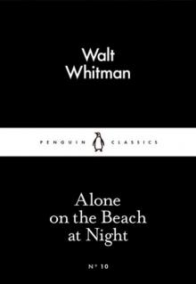      Alone on the Beach at Night