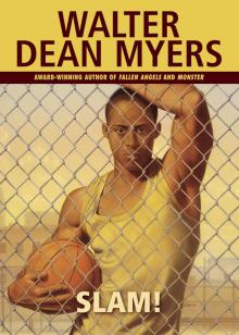monster walter dean myers novel