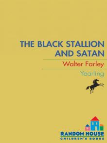      Black Stallion and Satan