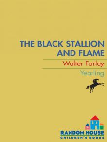      The Black Stallion and Flame