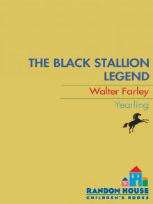      The Black Stallion Legend