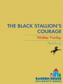      The Black Stallion's Courage