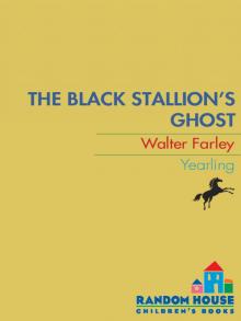      The Black Stallion's Ghost