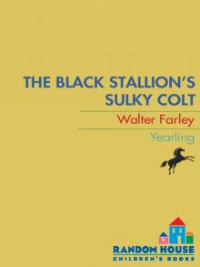      The Black Stallion's Sulky Colt