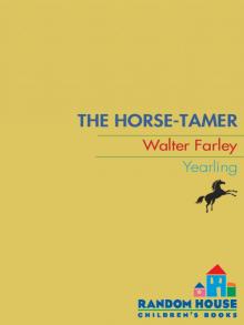      The Horse Tamer
