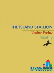      The Island Stallion