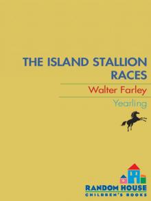      The Island Stallion Races