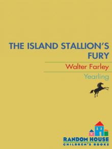      The Island Stallion's Fury