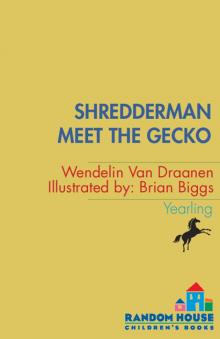      Meet the Gecko