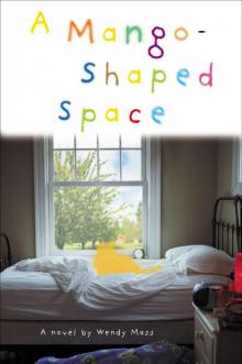      A Mango-Shaped Space