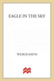      Eagle in the Sky