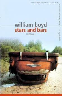      Stars and Bars: A Novel
