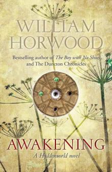      Awakening