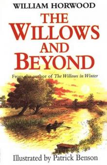      The Willows and Beyond
