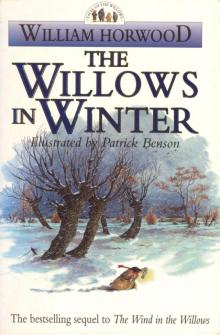      The Willows in Winter