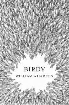      Birdy