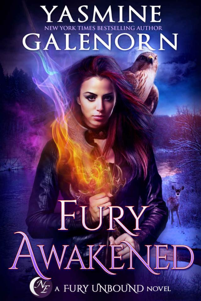 Read Fury Awakened (Fury Unbound Book 3) Online Read Free Novel - Read ...