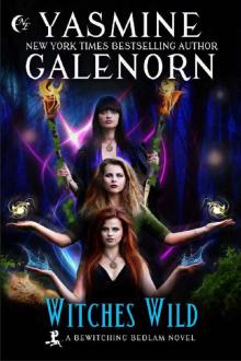      Witches Wild (Bewitching Bedlam Book 4)
