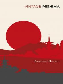      Runaway Horses