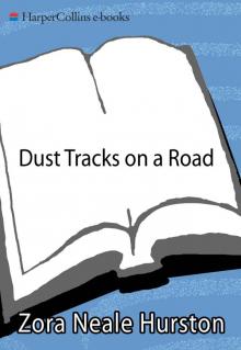      Dust Tracks on a Road